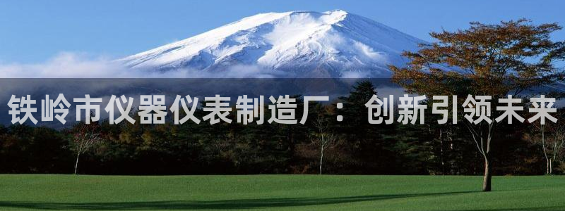 意昂3娱乐网站：铁岭市仪器仪表制造厂：创新引领未来