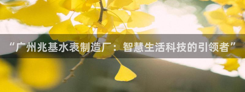 意昂体育3平台注册流程视频：“广州兆基水表制造厂：智慧生活科