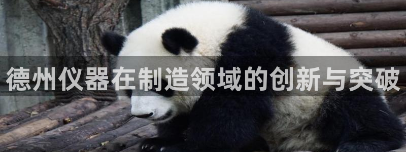 意昂体育3招商电话：德州仪器在制造领域的创新与突破