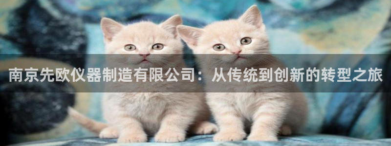 意昂3集团logo：南京先欧仪器制造有限公司：从传统到创新的