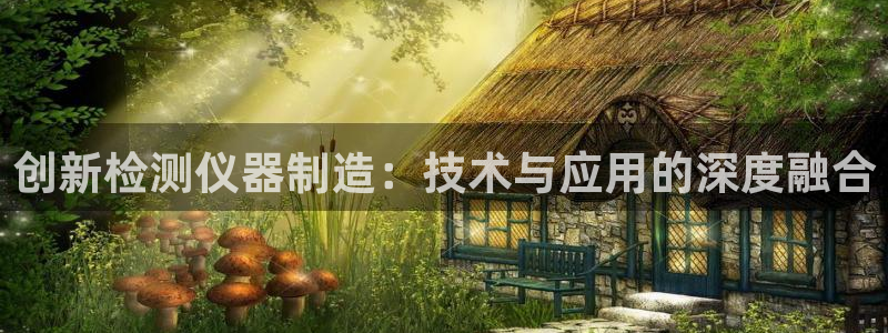 意昂3娱乐首页网站大全：创新检测仪器制造：技术与应用的深度融