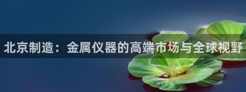 意昂体育3平台注册要钱吗：北京制造：金属仪器的高端市场与全球