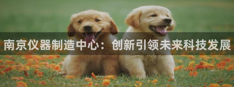 意昂3娱乐网站：南京仪器制造中心：创新引领未来科技发展