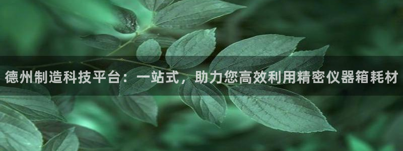 意昂集团官网：德州制造科技平台：一站式，助力您高效利用精密仪