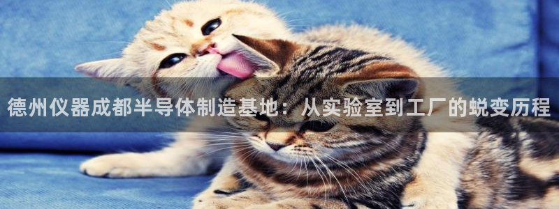 意昂体育3官方客服电话