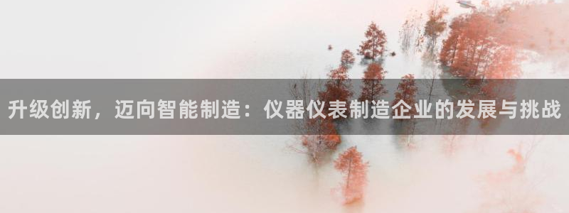 意昂体育3招商电话地址查询：升级创新，迈向智能制造：仪器仪表