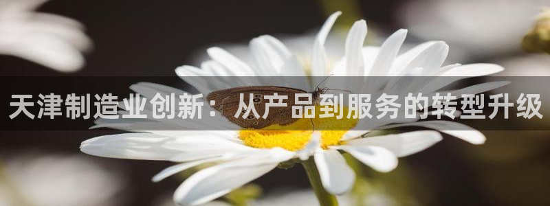 意昂3新能源：天津制造业创新：从产品到服务的转型升级