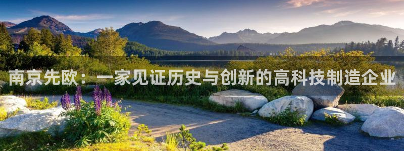 意昂3代理：南京先欧：一家见证历史与创新的高科技制造企业