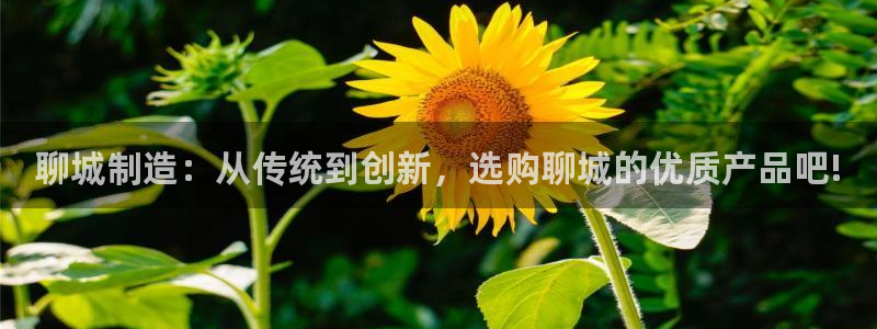 意昂体育3平台注册流程图：聊城制造：从传统到创新，选购聊城的
