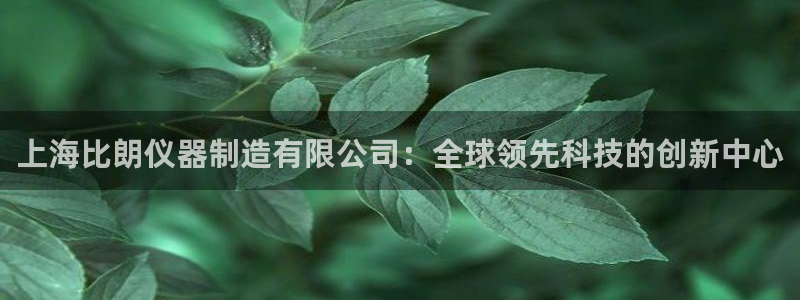 意昂3娱乐：上海比朗仪器制造有限公司：全球领先科技的创新中心