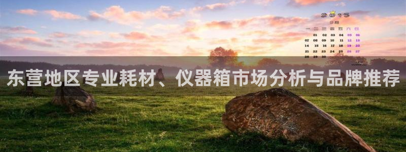 意昂3娱乐：东营地区专业耗材、仪器箱市场分析与品牌推荐