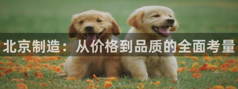海南意昂体育3发展怎么样：北京制造：从价格到品质的全面考量