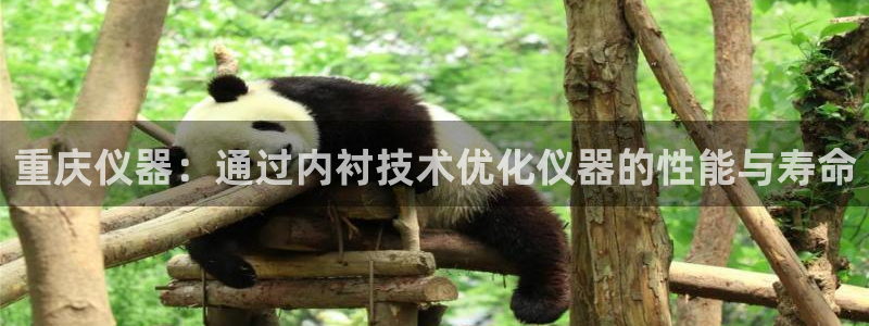 意昂3集团：重庆仪器：通过内衬技术优化仪器的性能与寿命