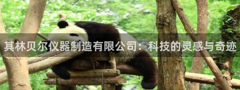 意昂体育3招商电话是多少：其林贝尔仪器制造有限公司：科技的灵